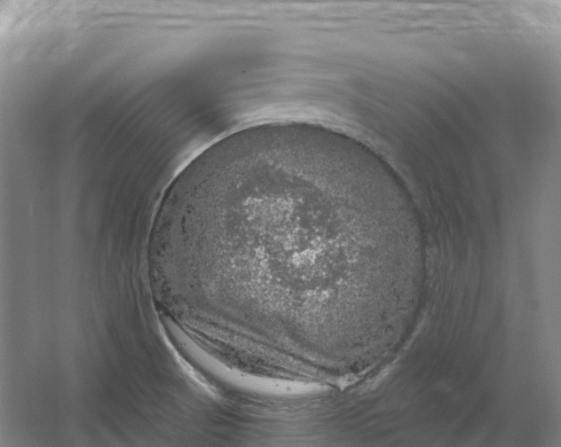 X0000064741521200602241737