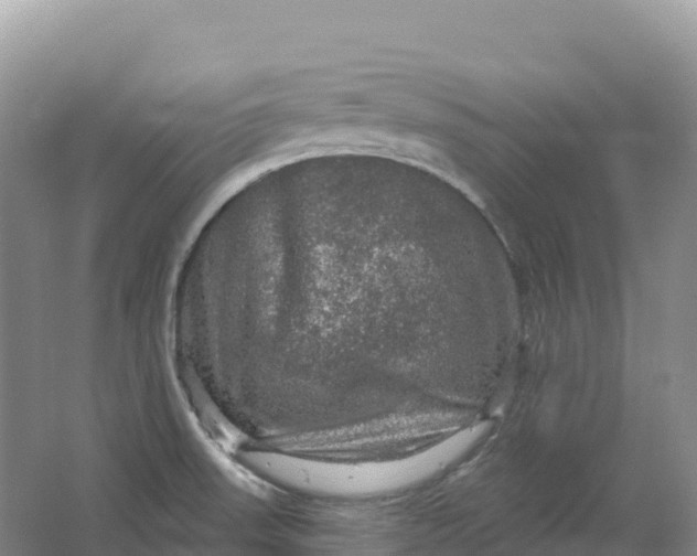 X0000064741523200602241737