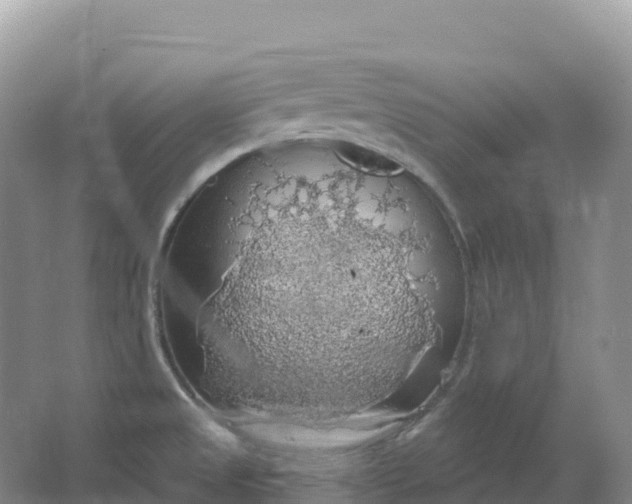 X0000064741525200602241737