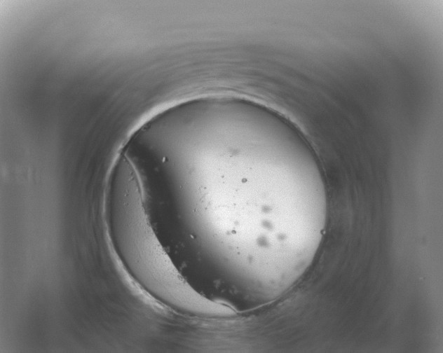 X0000064741526200602241737