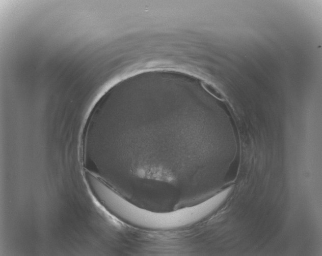 X0000064741527200602241737