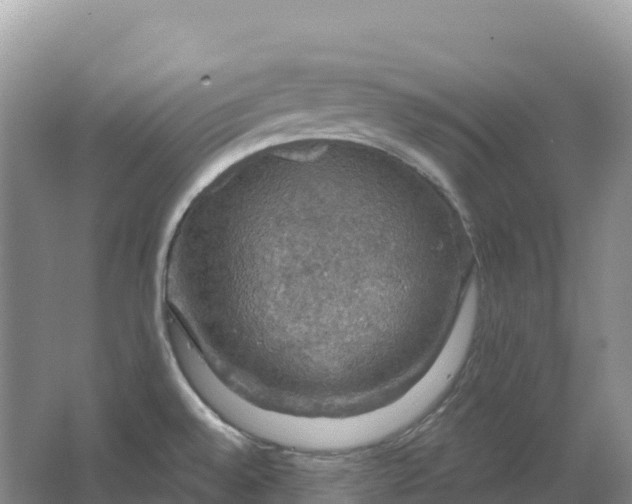 X0000064741528200602241737