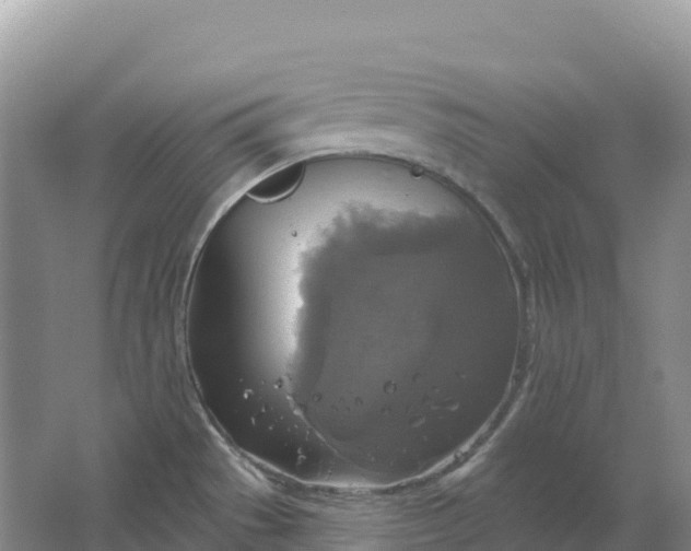 X0000064741529200602241737