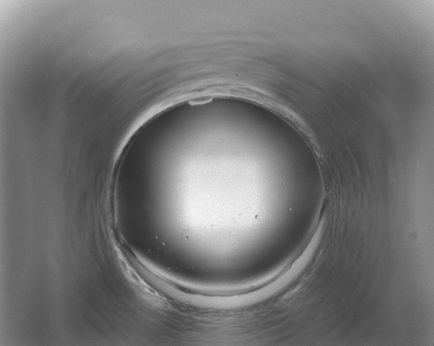 X0000064741530200602241737