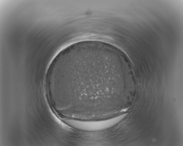 X0000064741531200602241737