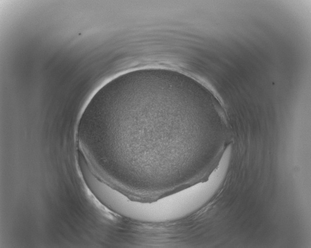 X0000064741532200602241737