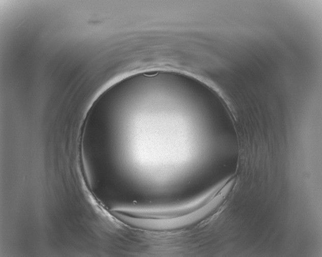 X0000064741534200602241738