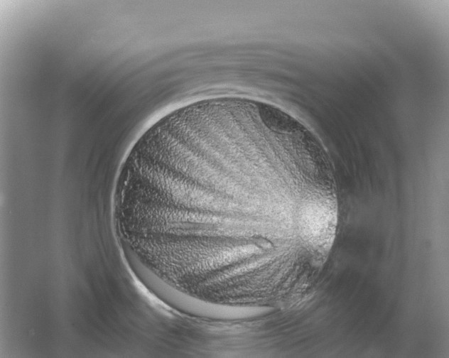 X0000064741535200602241738