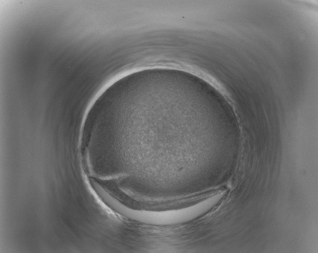 X0000064741536200602241738