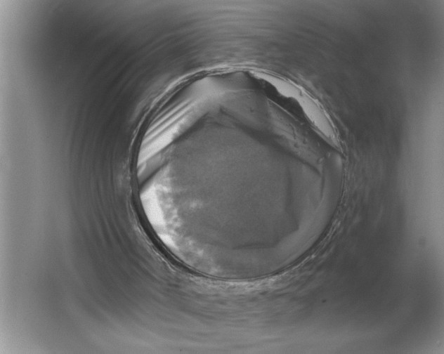 X0000064740002200603031719