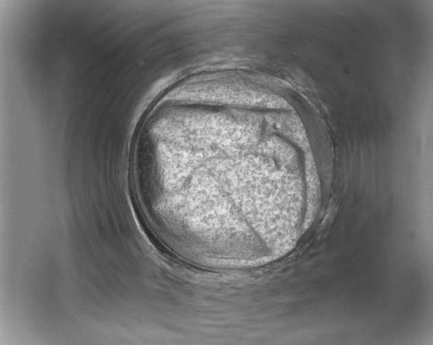 X0000064740003200603031719