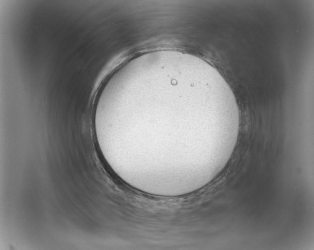 X0000064740004200603031719