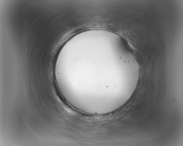 X0000064740005200603031719