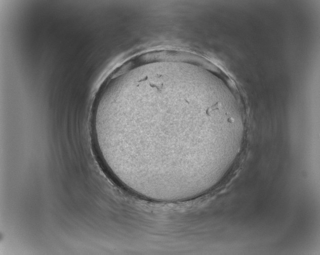 X0000064740007200603031719