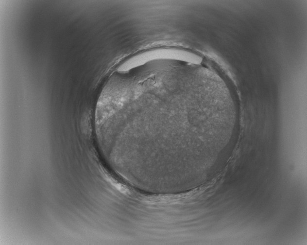 X0000064740009200603031719