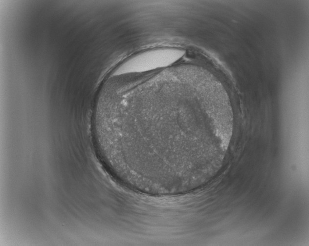 X0000064740010200603031719