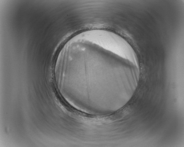 X0000064740012200603031719