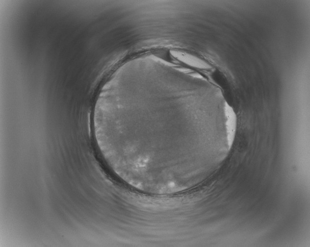 X0000064740014200603031719