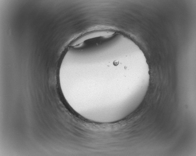 X0000064740015200603031719