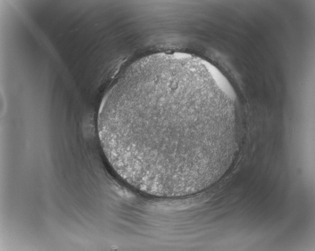 X0000064740017200603031719