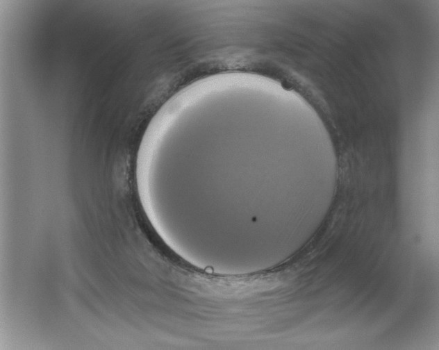 X0000064740018200603031719