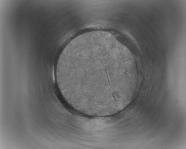 X0000064740020200603031719