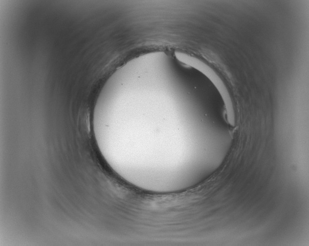 X0000064740021200603031719