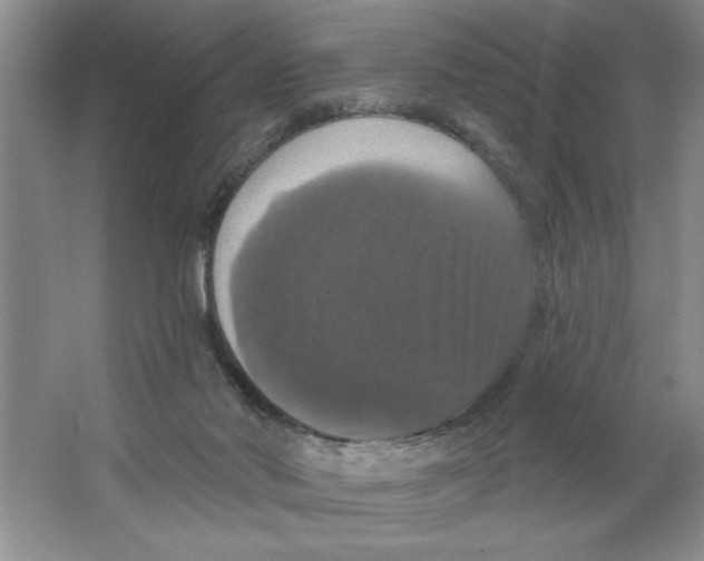 X0000064740022200603031719