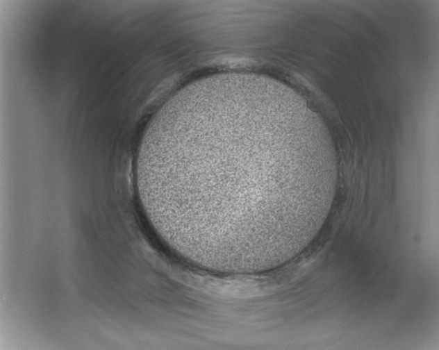 X0000064740024200603031719