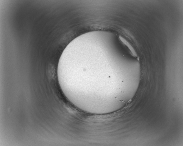 X0000064740025200603031719