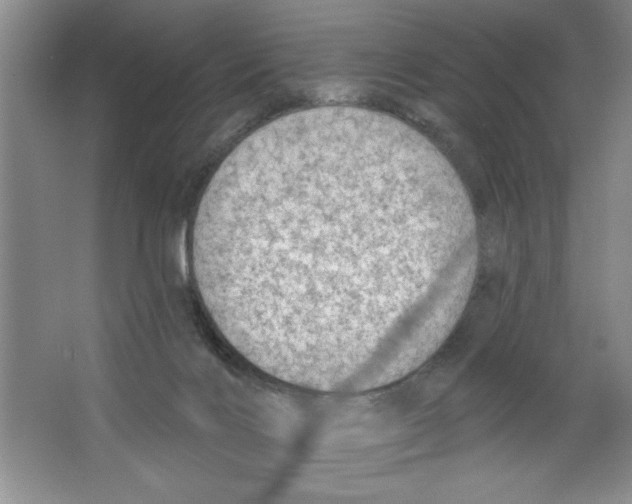 X0000064740028200603031719