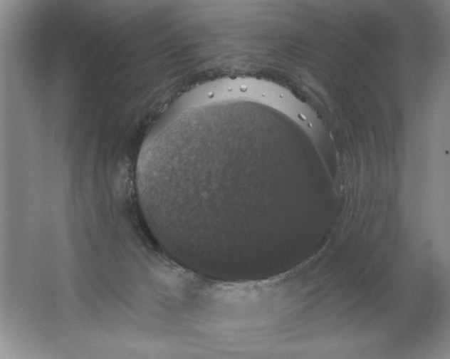 X0000064740029200603031719