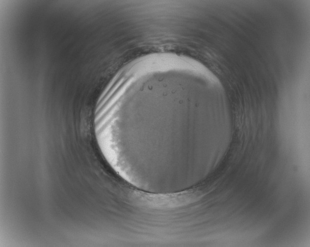 X0000064740030200603031719