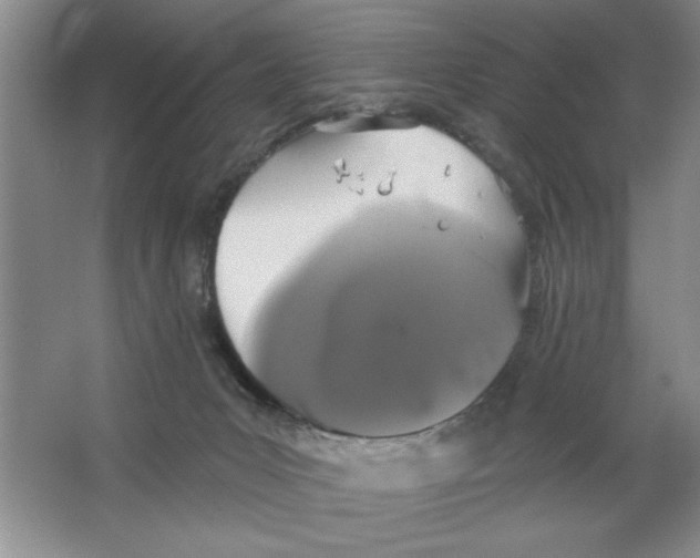 X0000064740031200603031719