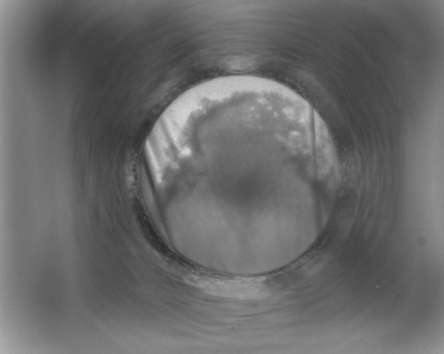 X0000064740032200603031719