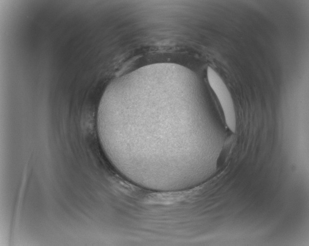 X0000064740033200603031719