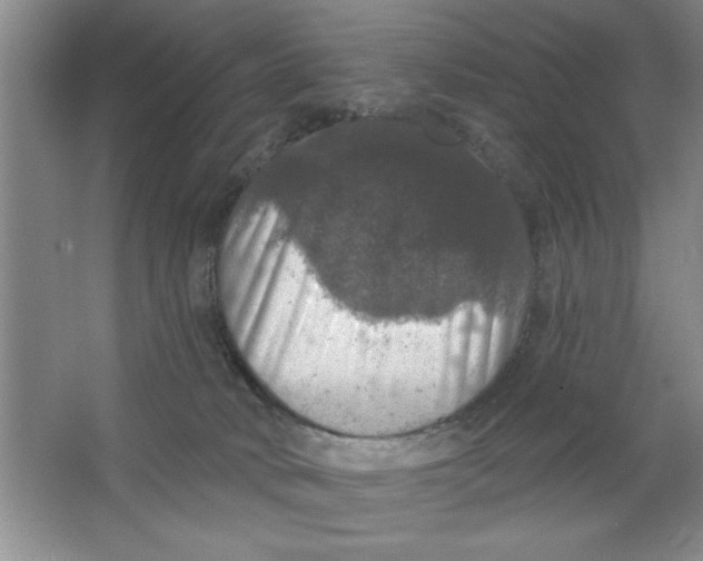 X0000064740034200603031719