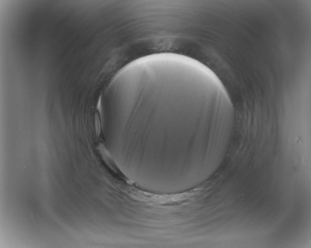 X0000064740035200603031719