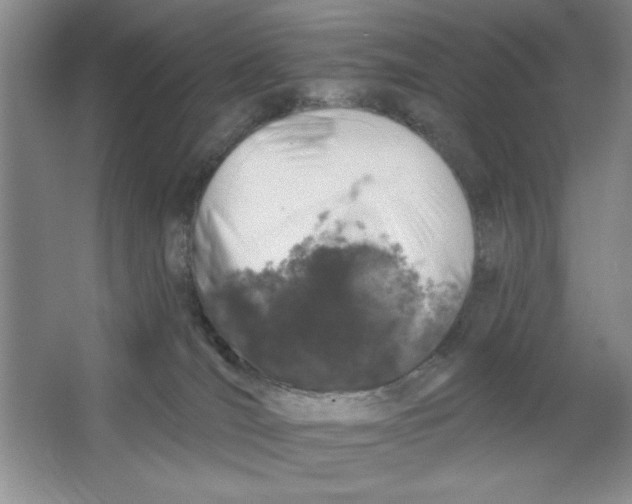 X0000064740036200603031719