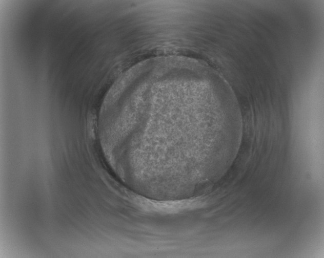 X0000064740038200603031719