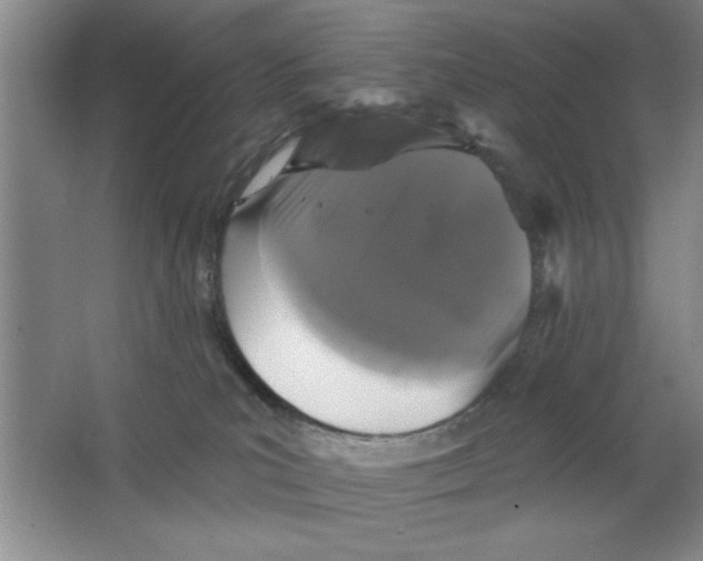 X0000064740039200603031719