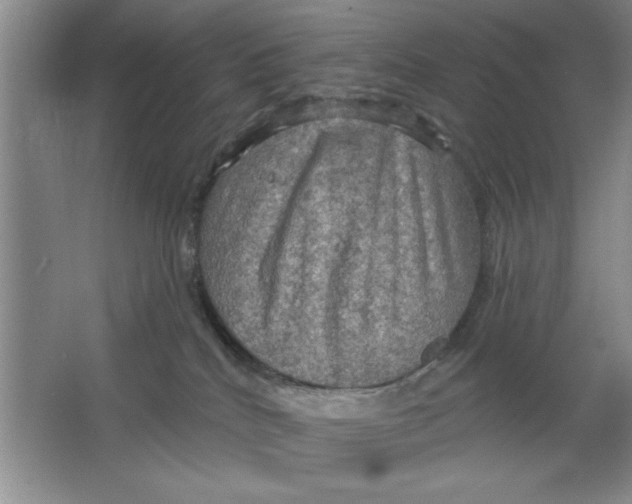 X0000064740040200603031719