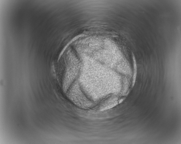 X0000064740042200603031719