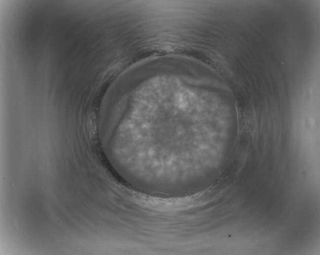 X0000064740043200603031719