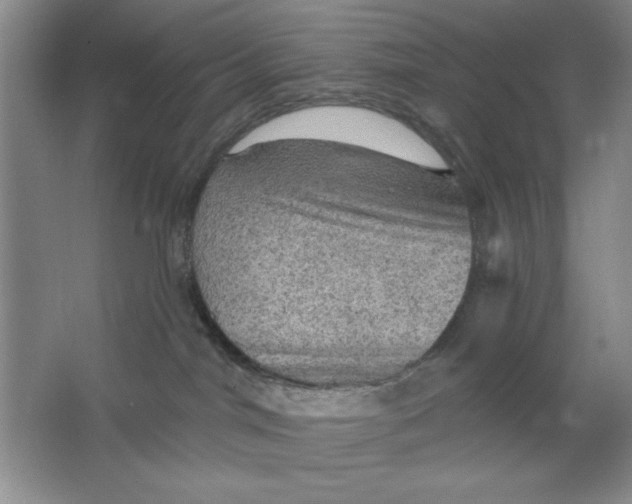 X0000064740044200603031719