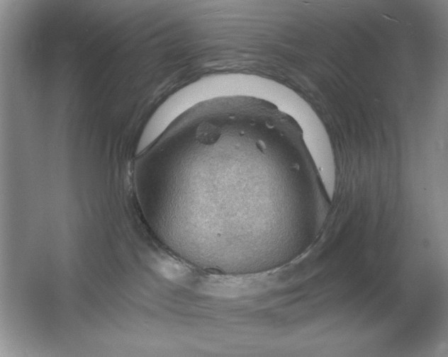 X0000064740045200603031719