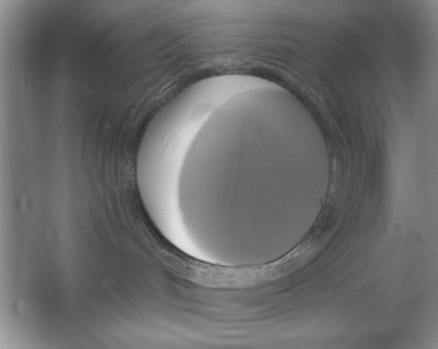 X0000064740048200603031719