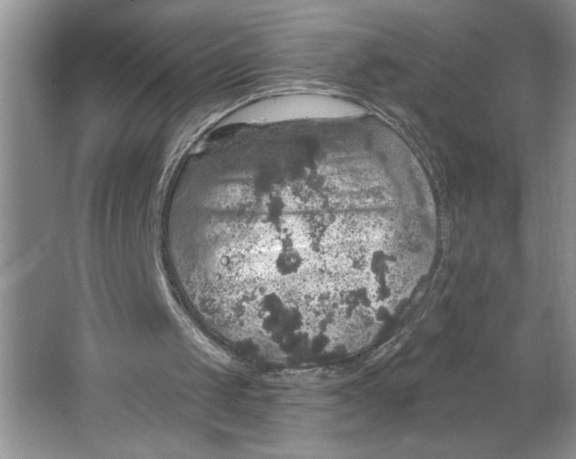 X0000064740049200603031718