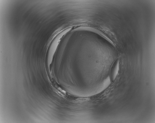 X0000064740051200603031718