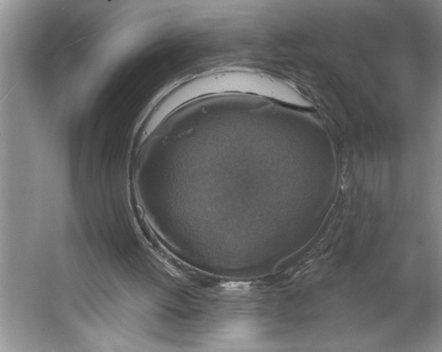 X0000064740052200603031718